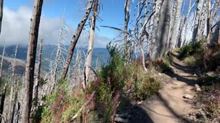 Oregon - Mount Hood - Hiking Way Up in the Windy Highland