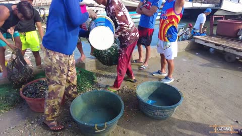 LARGEST FISH MARKET IN THE PHILIPPINES | Navotas Fish Port Complex | Walking Tour