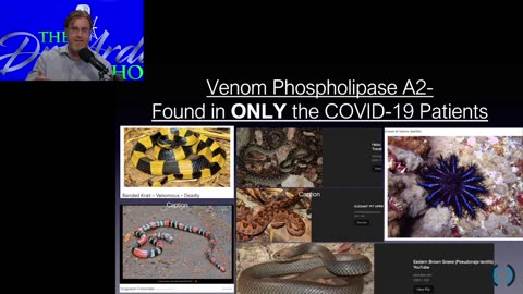 Venom Researcher Dr. Bryan Ardis with more on the snake and snail venom peptides found in Covid patients