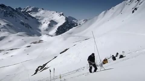 The phenomenon of snow in the wilderness I Wild Animals