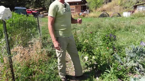 Chef Turned Homesteader, Builds a home out of Sawdust (Dustcrete)