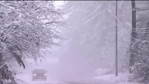 CTV National News: Snowstorm hitting Niagara