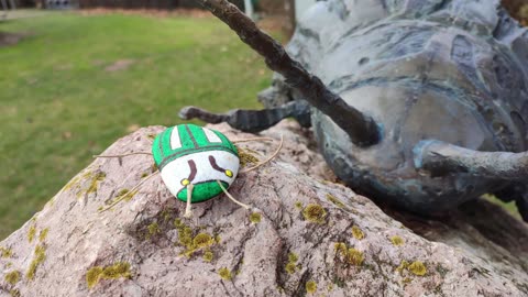 Colorado potato beetle statue, Hédervár, Hungary