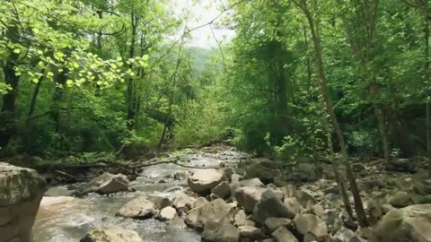 sonido de AGUA EN MOVIMIENTO de un arroyo en el bosque para REGALARSE O DORMIR para ESTRÉS