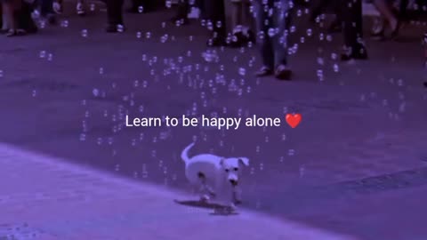 Learn to be happy alone #shorts #shortvideo #video #virals #videoviral