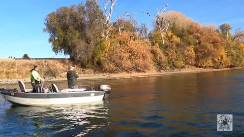 Old Farts Fishing - Is a Banana Bad Luck?