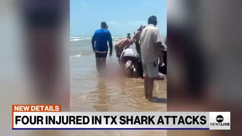 Shark attacks man in Texas ABC News