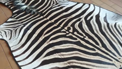 Felted Zebra Skin for client no1