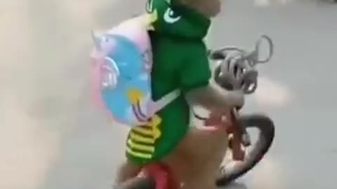 Funny monkey cycling