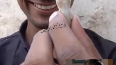 Human 🙋 being play with Lizard 🦎ØMG 🙀