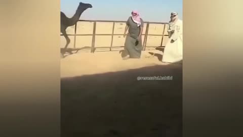 funny memes funny arab memes funny video