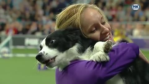 Pink the border collie wins back to back title at the 2023