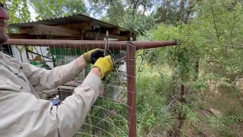 This FENCE Lasts 100 years!!