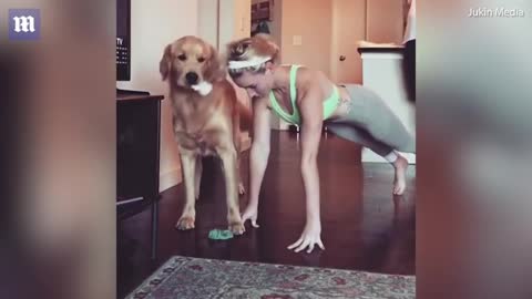 Playful dog makes push-ups impossible for his very patient owner 1