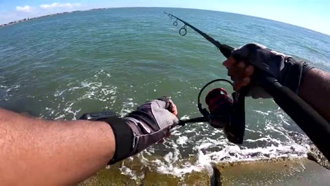 Catching Texas Mangrove Snapper at the Surfside Jetty-CATCH AND COOK