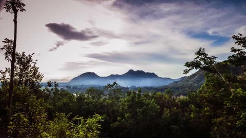 BORNEO RAINFOREST SOUNDS | RELAXATION.