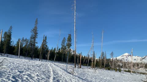 Tip: Trust the Trail Markers Over the Footprints – Central Oregon – 4K