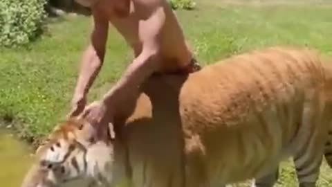 Best Funny Animals Videosp to Watch😂