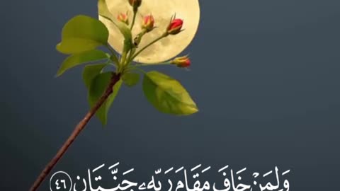 قرآن |سورة الرحمان |الآيات 46-47 Quran |surah Ar-Rahman |Quranic verse 46-47