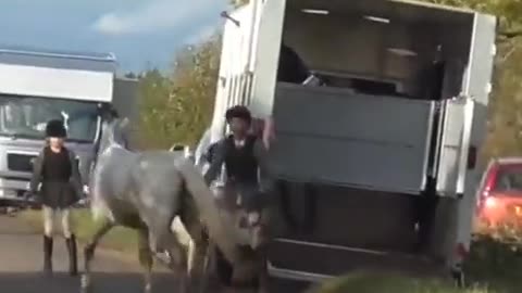 Woman kicks horse