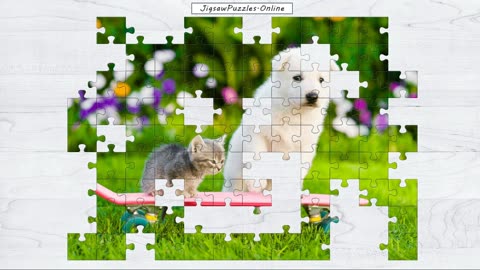 Puppy and Kitten Jigsaw Puzzle Online