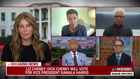 ‘Hell has frozen over’: Nicolle Wallace's reaction to former VP Dick Cheney supporting Kamala Harris