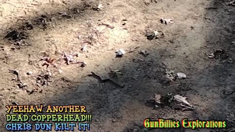 Slow mo copperhead kill