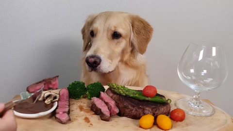 My Dog Eating Show Steak& Wine Asparagus Mukbang