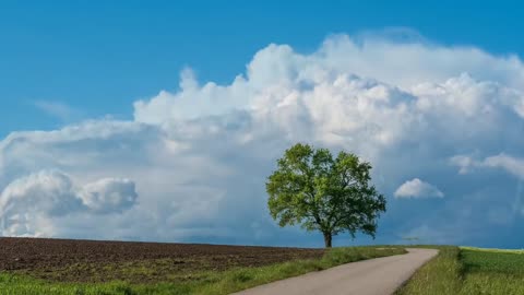 Beautiful Sky | Tree | Road | Beautiful nature | Background video effects HD