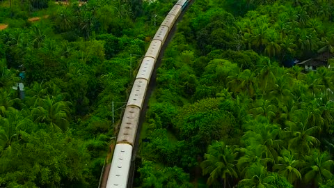 📍Sharavathi railway bridge #nature