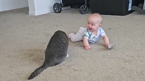 Cute- Baby & Pet- Black- Cat