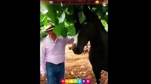 "Hilarious Showdown: Humans vs. Animals in Epic Comedy Moments!"🤣🤣