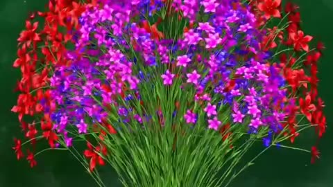 Amazing Art of Blooming Flowers 💐🌹🌹