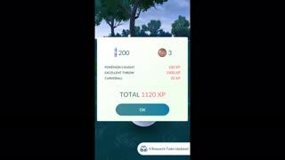 Pokémon GO-Shadow Swinub