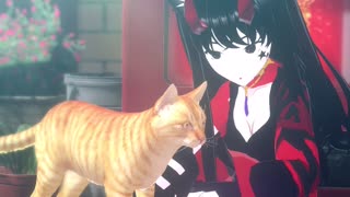 Kitty Scritches