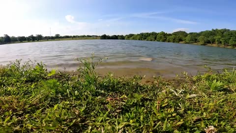 Several cars found underwater in local lake!