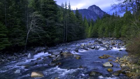 White noise sounds from nature for relaxing, studying, and stress relief for 10 hours without music