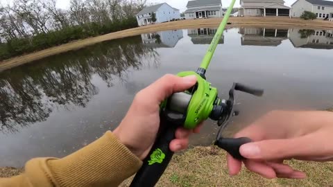 Hunting for 10-pound Bass in a Compact Trophy Pond!