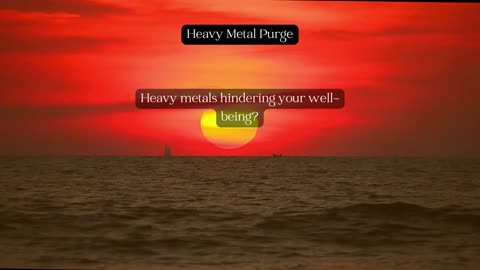 Heavy Metals Purge