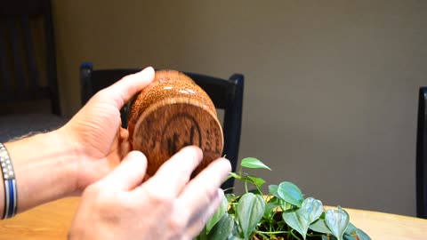 Wood Turning the Coconut Palm Goblet