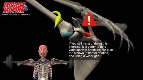 Upright Row - Good or Bad?