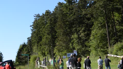 Swarm of Bald Eagles attract tourists