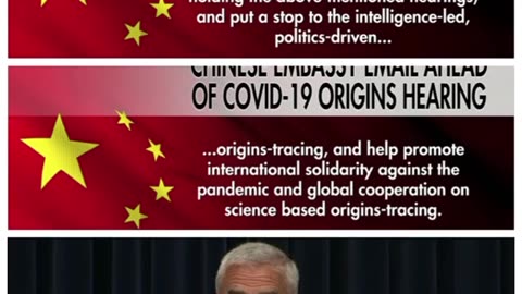 China's response to covid hearings