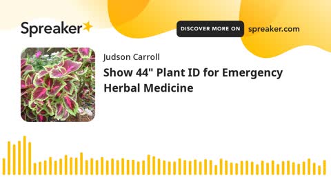 Show 44: Plant ID for Emergency Herbal Medicine (part 1 of 3)