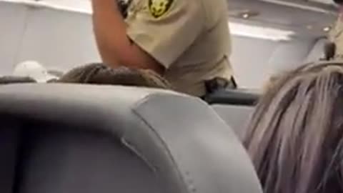 Police force enter airplane full of passengers after woman refuses to get off FaceTime