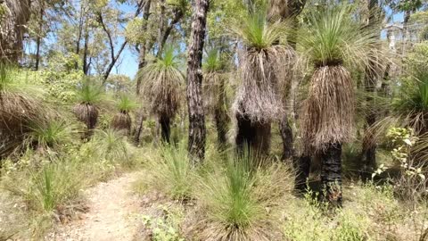 Mount Dale Shelter on the Bibbulmun Track