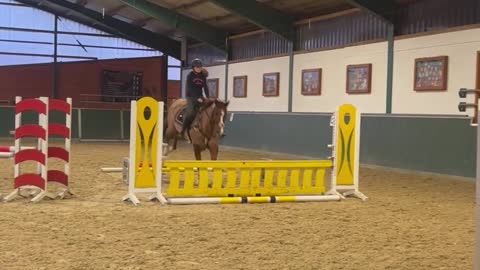 Girl Falls From Horse During Showjumping Training