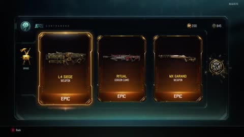 Call of Duty Black Ops 3 Two Weapons From One Weapon Bribe