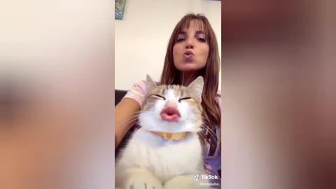 Cats being cats 😻Tiktok Compilation