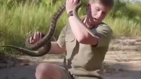 Steve Irwin gets bit by a snake as well as his son years later